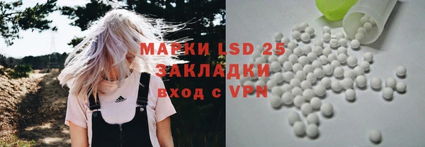 PSILOCYBIN Горняк
