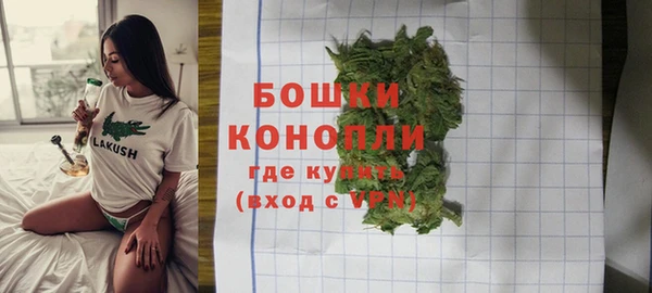 PSILOCYBIN Горняк