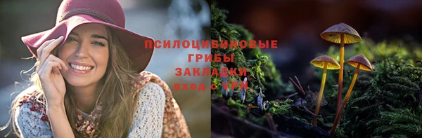 PSILOCYBIN Горняк