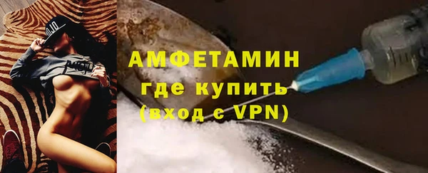 сатива Горнозаводск