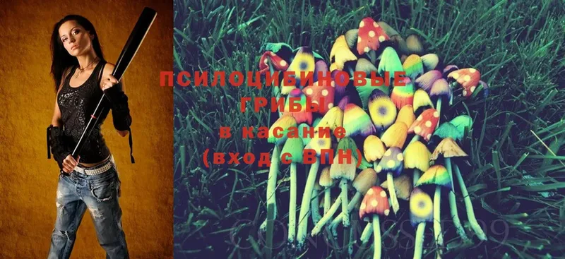 Галлюциногенные грибы Magic Shrooms  Давлеканово 